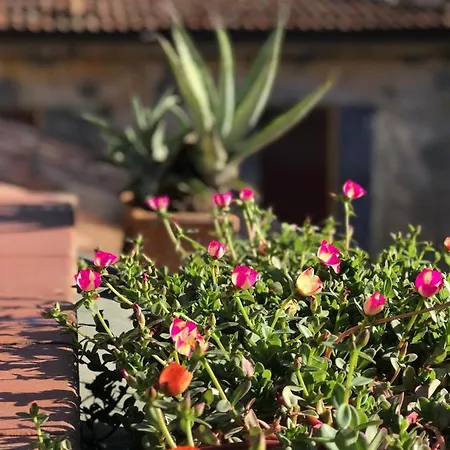 Apartamento Attico Castiglione Bolonia