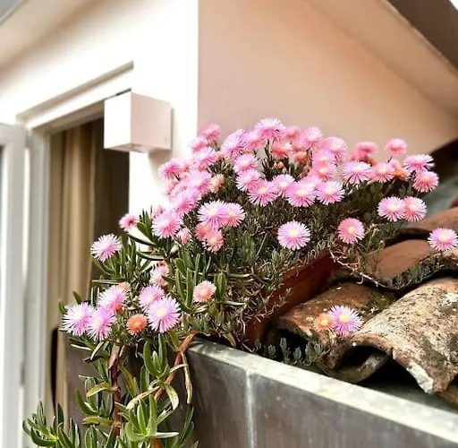 Attico Castiglione 아파트 *