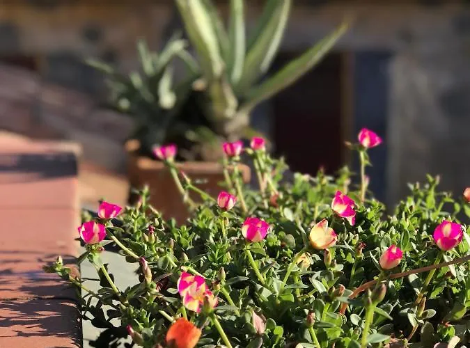 Apartment Attico Castiglione Bologna